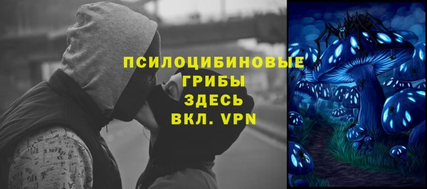 марки nbome Богданович
