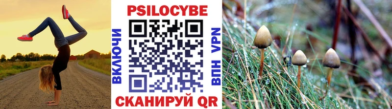 Псилоцибиновые грибы Psilocybine cubensis Костерёво