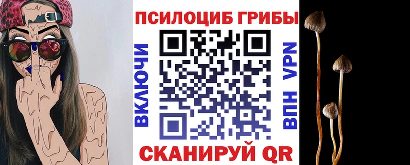 Галлюциногенные грибы MAGIC MUSHROOMS закладка Костерёво